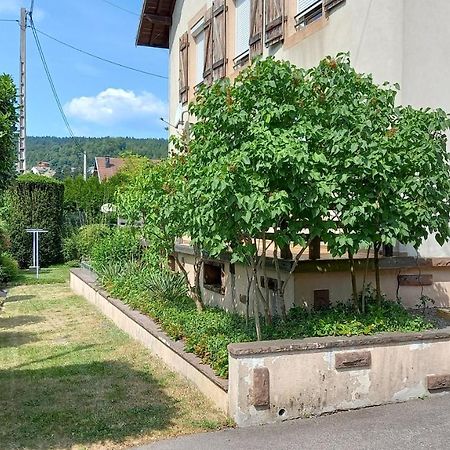 Studio D'Hotes A 10 Km De Gerardmer 勒索里 外观 照片