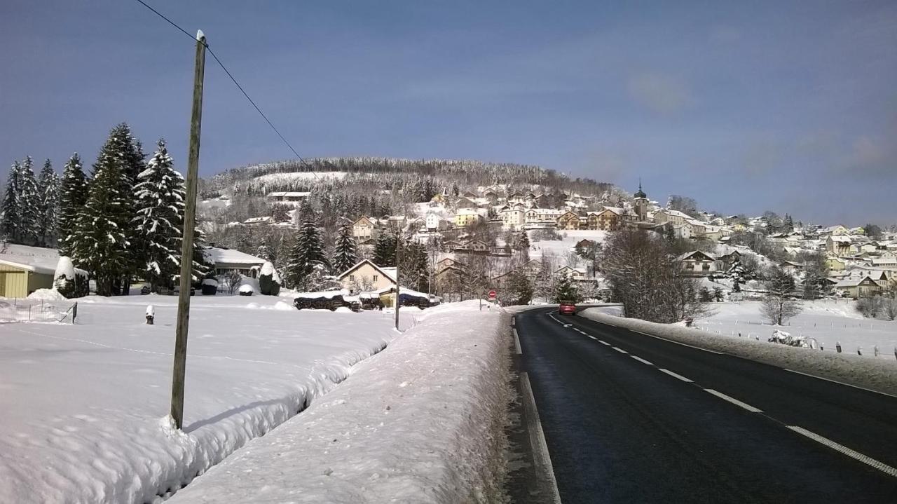 Studio D'Hotes A 10 Km De Gerardmer 勒索里 外观 照片