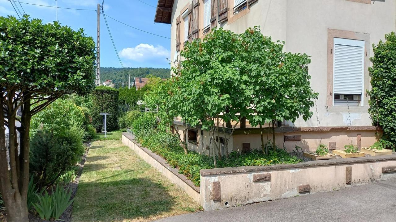 Studio D'Hotes A 10 Km De Gerardmer 勒索里 外观 照片